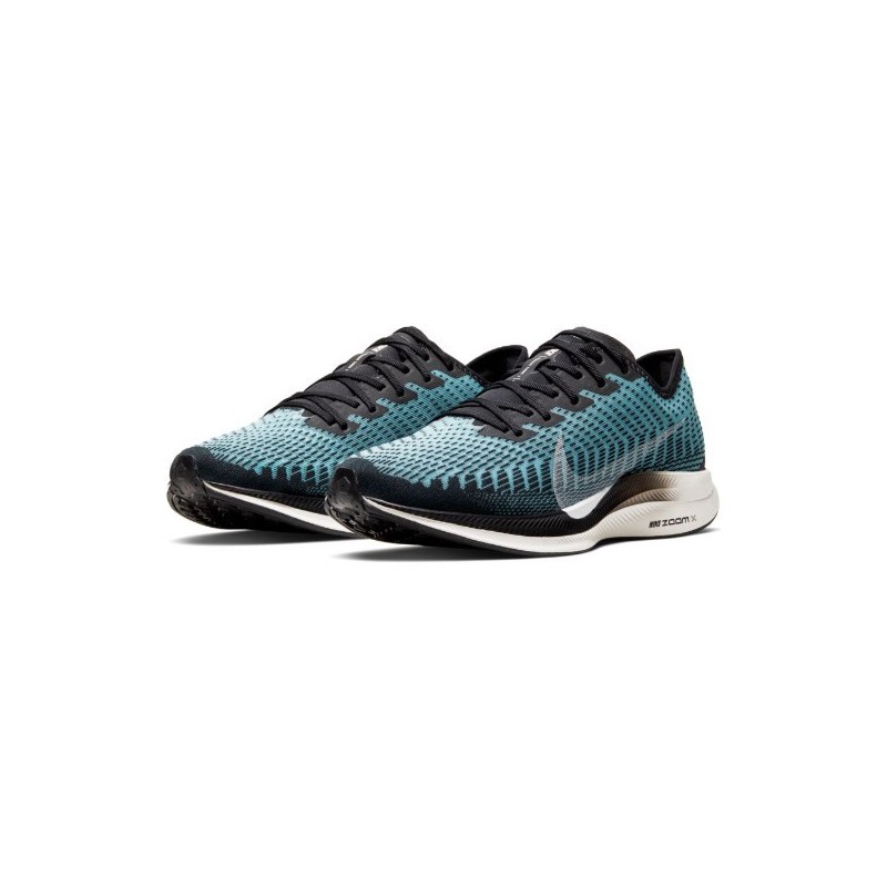 air zoom pegasus turbo 2